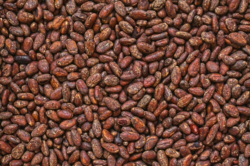 Cocoa